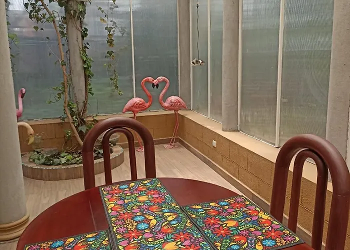 Texcoco Apartment *